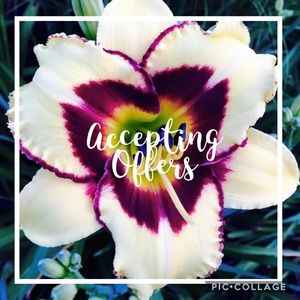 🌸Offers Welcome🌸